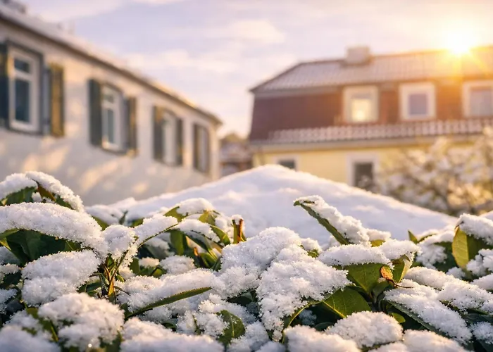 Novahr Nehring Daire